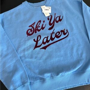 American Eagle Outfitters Blue Crew Neck Sweater